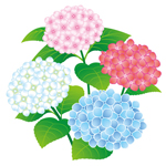 msg201806